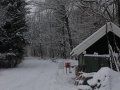 DSC_4173.JPG